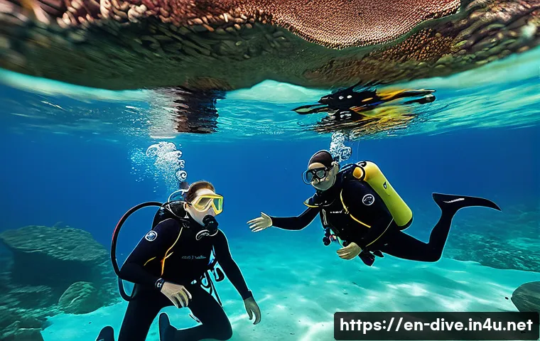 7 Essential Skills Every Aspiring Diving Instructor Must Master for Success 3 다이빙 강사로 성공하기 위한 핵심 스킬 관련 이미지 1